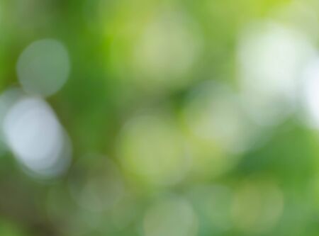 Green bokeh on nature defocus art abstract blur backgroundの写真素材
