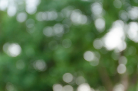 Green blurred background, the bokeh effectの写真素材