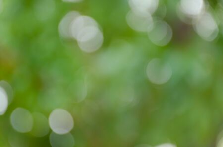Green blurred background, the bokeh effectの写真素材