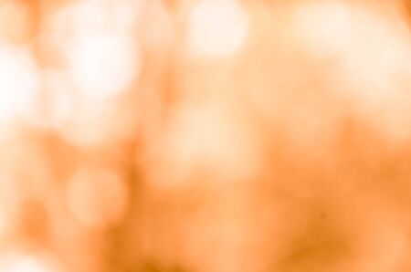 Orange bokeh from naturalの写真素材