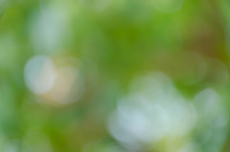 Green bokeh on nature defocus art abstract blur backgroundの写真素材