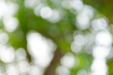 Green blurred background, the bokeh effectの写真素材