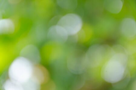 Green bokeh on nature defocus art abstract blur backgroundの写真素材