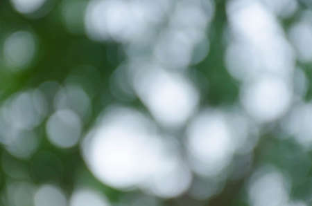 Green blurred background, the bokeh effectの写真素材