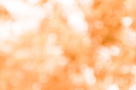 Orange bokeh from naturalの写真素材
