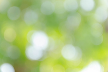 Green bokeh on nature defocus art abstract blur backgroundの写真素材