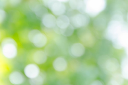 green bokeh from treeの写真素材