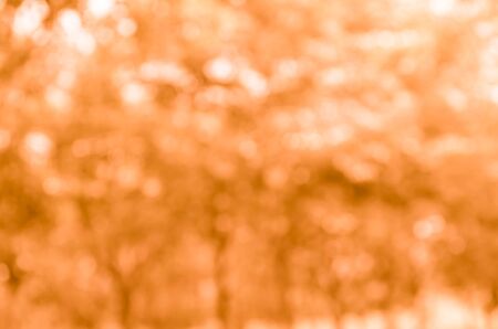 Orange bokeh from naturalの写真素材