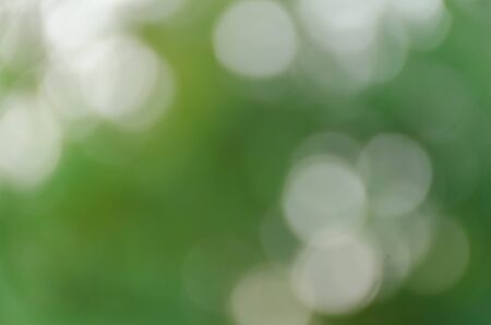 Green blurred background, the bokeh effectの写真素材