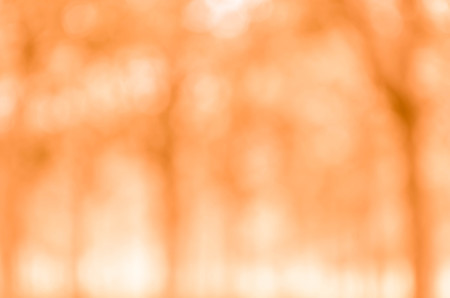 Abstract orange bokeh backgroundの写真素材