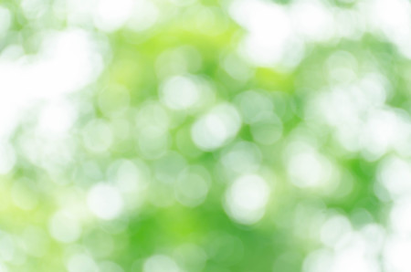 green bokeh backgroundの写真素材