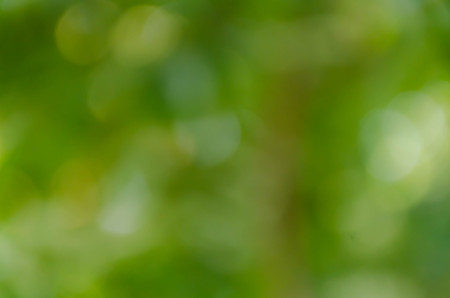 Green bokeh on nature defocus art abstract blur backgroundの写真素材
