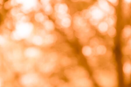 Orange bokeh from naturalの写真素材