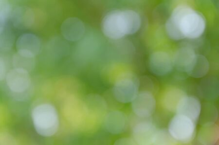 Green bokeh on nature defocus art abstract blur backgroundの写真素材