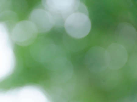 Green blurred background, the bokeh effectの写真素材