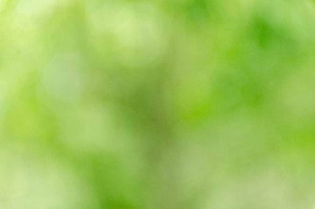 green bokeh abstract light backgroundの写真素材