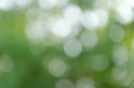 green bokeh abstract light backgroundの写真素材