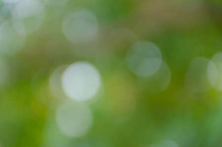 Green blurred background, the bokeh effectの写真素材