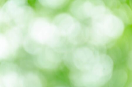 Abstract natural green bokeh backgroundの写真素材
