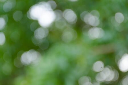 Green blurred background, the bokeh effectの写真素材