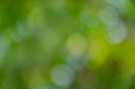 Green bokeh on nature defocus art abstract blur backgroundの写真素材