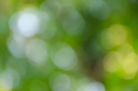 Green bokeh on nature defocus art abstract blur backgroundの写真素材