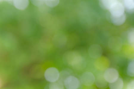 Green bokeh on nature defocus art abstract blur backgroundの写真素材