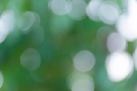 Green blurred background, the bokeh effectの写真素材