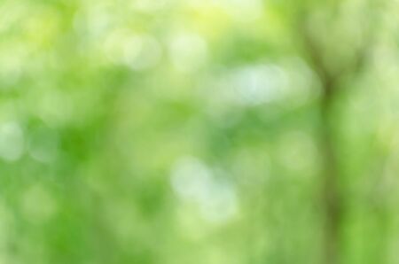 green bokeh abstract light backgroundの写真素材