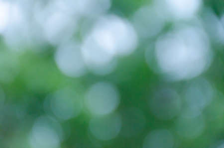 Green blurred background, the bokeh effectの写真素材