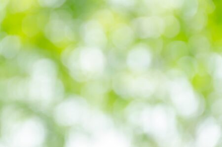 Abstract green bokeh backgroundの写真素材
