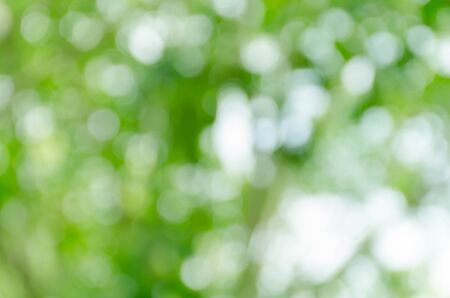 Abstract green bokeh backgroundの写真素材