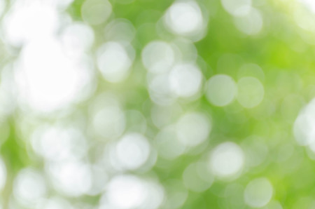 green bokeh backgroundの写真素材