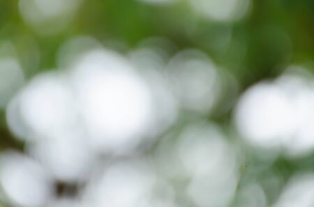 Green blurred background, the bokeh effectの写真素材