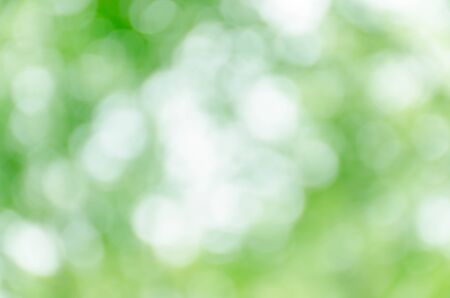 green bokeh backgroundの写真素材