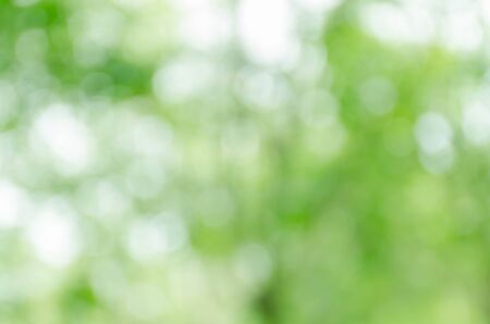 green bokeh backgroundの写真素材