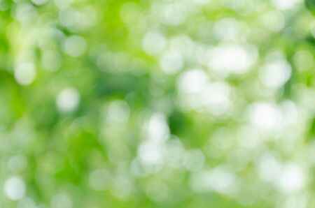 Abstract green bokeh backgroundの写真素材