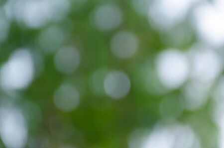 Green blurred background, the bokeh effectの写真素材