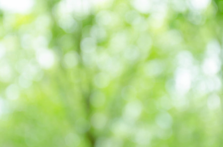 green bokeh backgroundの写真素材