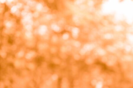 Orange bokeh from naturalの写真素材