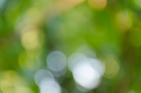 Green bokeh on nature defocus art abstract blur backgroundの写真素材