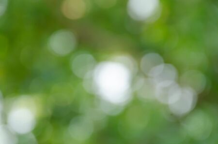 green bokeh abstract light backgroundの写真素材