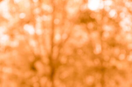 Orange bokeh from naturalの写真素材