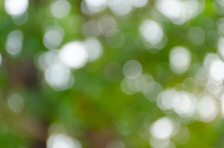 Green blurred background, the bokeh effectの写真素材