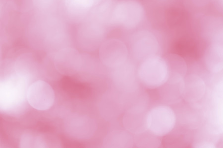 sweet color rose in blur style for backgroundの写真素材