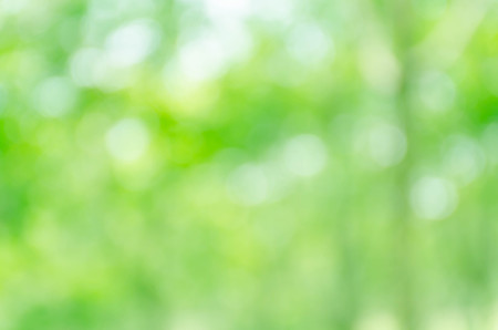 green bokeh backgroundの写真素材
