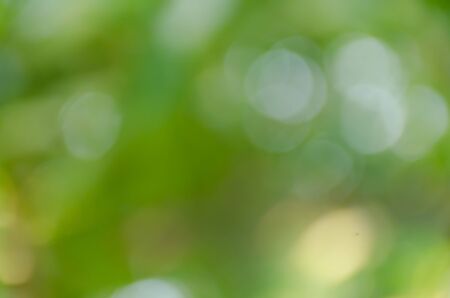 Green bokeh on nature defocus art abstract blur backgroundの写真素材