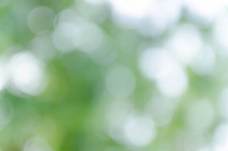 green bokeh from treeの写真素材
