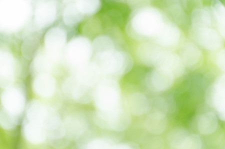 green bokeh backgroundの写真素材