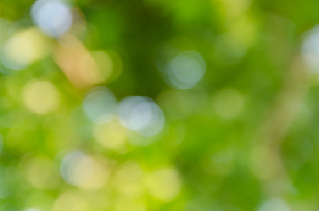 Green bokeh on nature defocus art abstract blur backgroundの写真素材